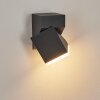 Toogong Buiten muurverlichting LED Antraciet, 1-licht
