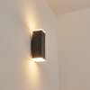 Toogong Buiten muurverlichting LED Antraciet, 2-lichts