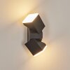 Toogong Buiten muurverlichting LED Antraciet, 2-lichts