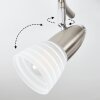 Chapod Plafondlamp LED Nikkel mat, 3-lichts