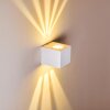 Jonava Buiten muurverlichting LED Wit, 2-lichts