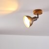 Tholen Plafondlamp Bruin, 1-licht