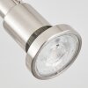 Lonquimay Plafondlamp Nikkel mat, 4-lichts