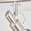 Lonquimay Plafondlamp Nikkel mat, 4-lichts