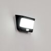 Colchagua Solarlamp LED Zwart, Wit, 1-licht, Bewegingsmelder