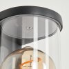 Radnor Buiten muurverlichting Antraciet, Grijs, 1-licht