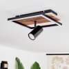 Sequeira Plafondlamp LED Hout licht, houtlook, Zwart, 2-lichts