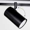 Sequeira Plafondlamp LED Hout licht, houtlook, Zwart, 3-lichts