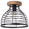 Brilliant Avia Plafondlamp Zwart, 1-licht