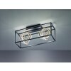Fischer & Honsel Gisi Plafondlamp LED Zwart, 2-lichts, Afstandsbediening