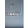Fischer & Honsel Gisi Hanglamp LED Zwart, 4-lichts, Afstandsbediening