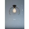Fischer & Honsel Wire Plafondlamp Zwart, 1-licht
