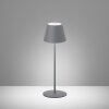 FHL easy Cosenza Tafellamp voor buiten LED Grijs, 1-licht, Kleurwisselaar