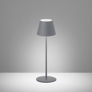 FHL easy Cosenza Tafellamp voor buiten LED Grijs, 1-licht, Kleurwisselaar