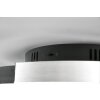 Trio Caya Plafondlamp LED Aluminium, Zwart, 1-licht