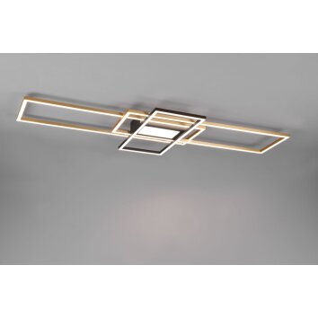Trio Irvine Plafondlamp LED Messing, Zwart, 1-licht, Afstandsbediening
