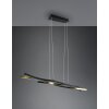 Trio Blaze Hanglamp LED Messing, 1-licht