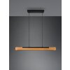 Trio Kerala Hanglamp LED Zwart, 1-licht