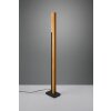 Trio Kerala Staande lamp LED Zwart, 1-licht