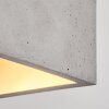 Stettler Plafondlamp Grijs, 1-licht