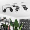 Isanay Plafondlamp Zwart, 4-lichts