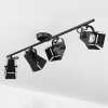 Isanay Plafondlamp Zwart, 4-lichts