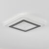 Wawo Plafondpaneel LED Wit, 1-licht, Afstandsbediening