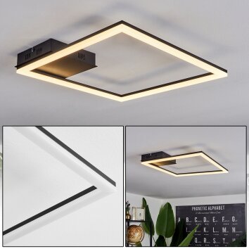 Taleta Plafondlamp LED Zwart, 1-licht