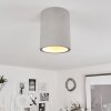 Stettler Plafondlamp Grijs, 1-licht