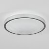 Subles Plafondlamp LED Zilver, Wit, 1-licht, Bewegingsmelder