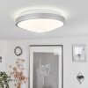 Subles Plafondlamp LED Zilver, Wit, 1-licht, Bewegingsmelder