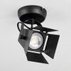 Isanay Plafondlamp Zwart, 1-licht