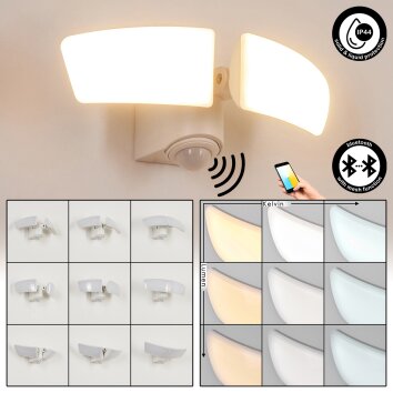 Carnetin Buiten muurverlichting LED Wit, 2-lichts, Bewegingsmelder