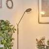 Huallilemu Staande lamp LED Nikkel mat, 1-licht