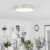 Mentque Plafondlamp LED Zilver, 1-licht