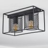 Bettaix Plafondlamp Zwart, 2-lichts