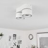 Laonsana Plafondlamp LED Zwart, Wit, 2-lichts