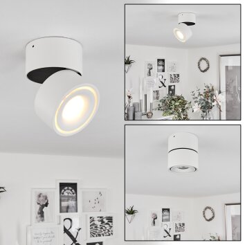 Laonsana Plafondlamp LED Zwart, Wit, 1-licht