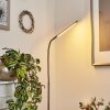 Reuland Staande lamp LED Nikkel mat, 1-licht
