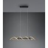Trio Sequence Hanglamp LED Messing, Zwart, 1-licht