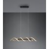Trio Sequence Hanglamp LED Messing, Zwart, 1-licht