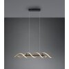 Trio Sequence Hanglamp LED Messing, Zwart, 1-licht