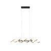 Trio Sequence Hanglamp LED Messing, Zwart, 1-licht