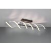 Trio Sequence Plafondlamp LED Aluminium, Zwart, 1-licht