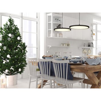 Trio Tray Hanger LED Zwart, 1-licht