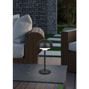 Reality Elliot Tafellamp voor buiten LED Zwart, 1-licht