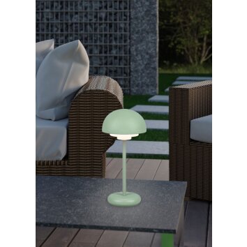 Reality Elliot Tafellamp voor buiten LED Groen, 1-licht