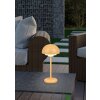 Reality Elliot Tafellamp voor buiten LED Geel, 1-licht