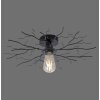 Leuchten-Direkt LIMB Plafondlamp Zwart, 1-licht