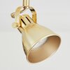 Salinas Plafondlamp Messing, 2-lichts